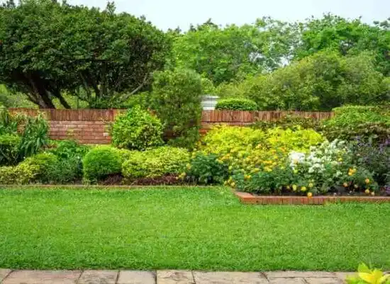 landscaping services Strathmoor Village